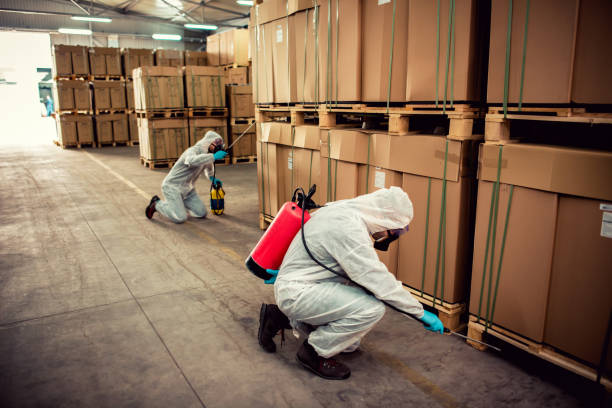Best Cockroach Control Services  in Pinole, CA