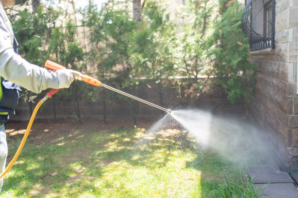 Best Insect Control  in Pinole, CA