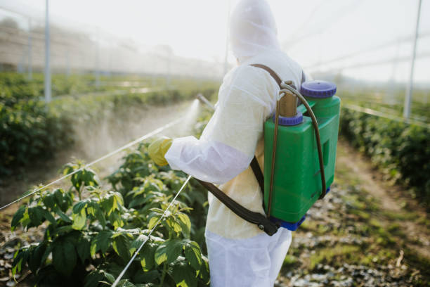 Best Mosquito Control Services  in Pinole, CA